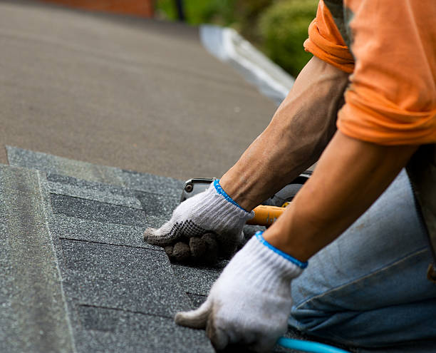 Best Storm Damage Roof Repair  in Wrightstown, WI