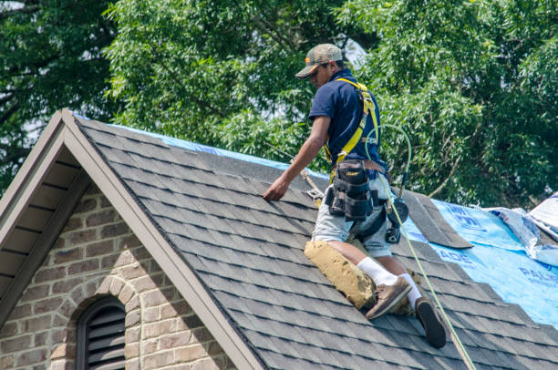 Best Shingle Roofing Installation  in Wrightstown, WI
